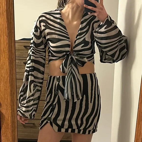 Zara Zebra Print Mini Skirt (Skirt Only) - Picture 4 of 4